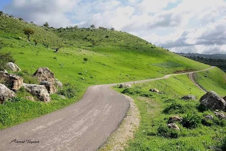 لواء الكورة